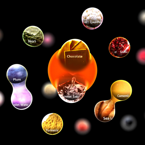 Sony AI Launches the 