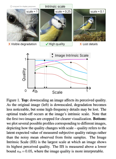 ICCV 2025 - Fig 1-5.png