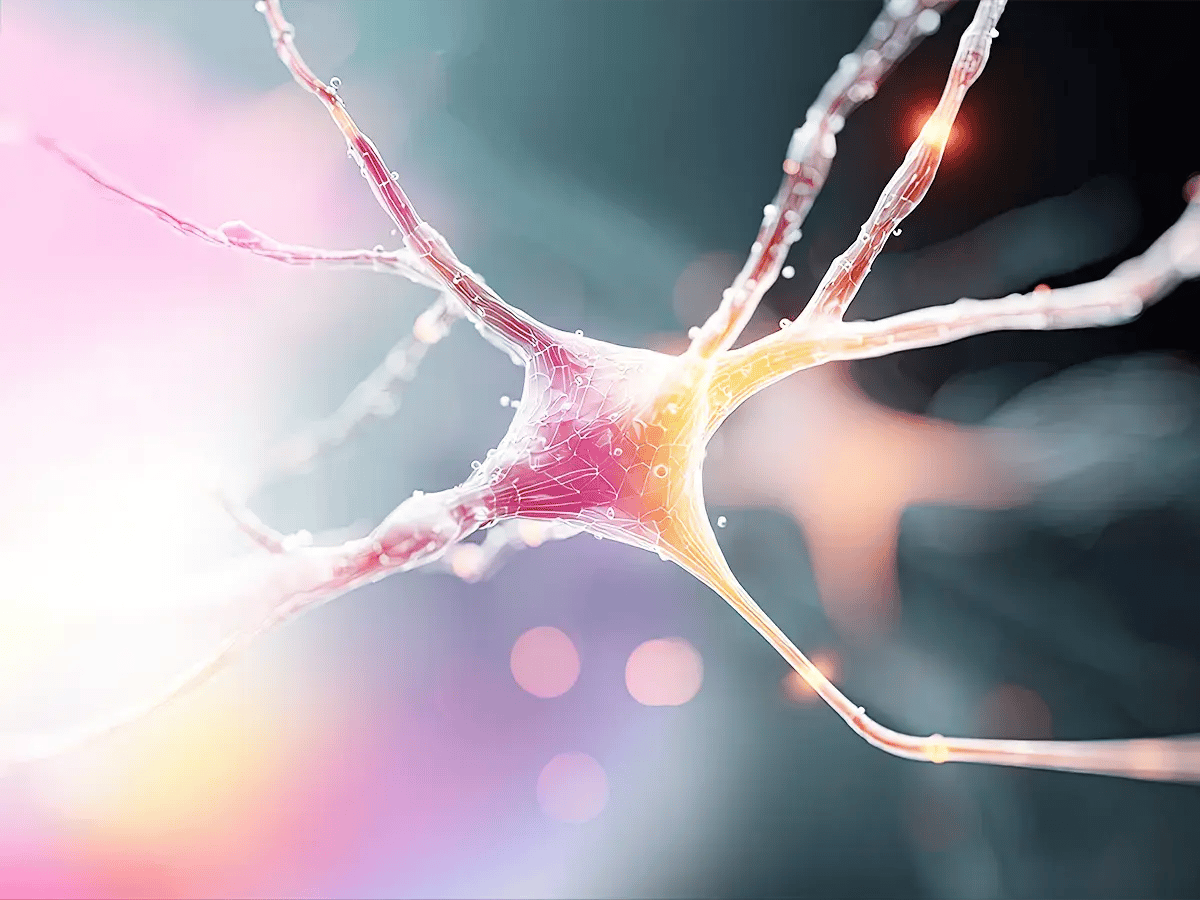 Abstract depiction of a neuron with bright, branching extensions on a colorful gradient background